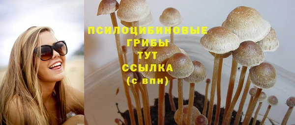 дживик Кинешма