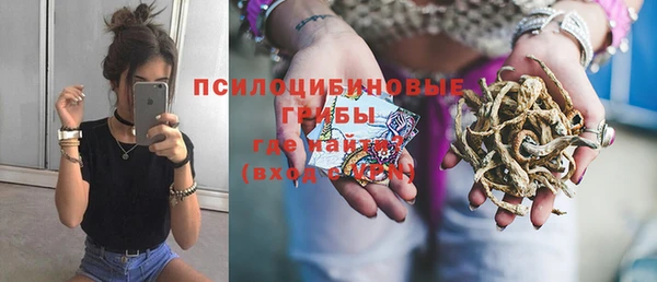 молекула духа Киреевск