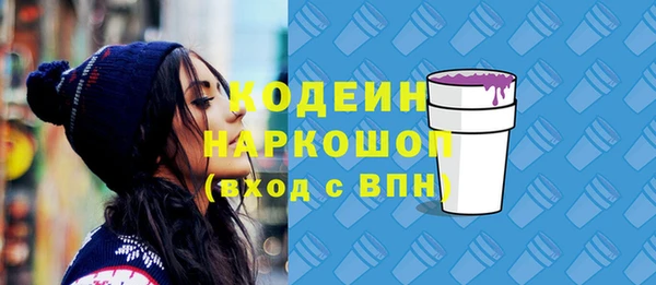 соль ск Козельск