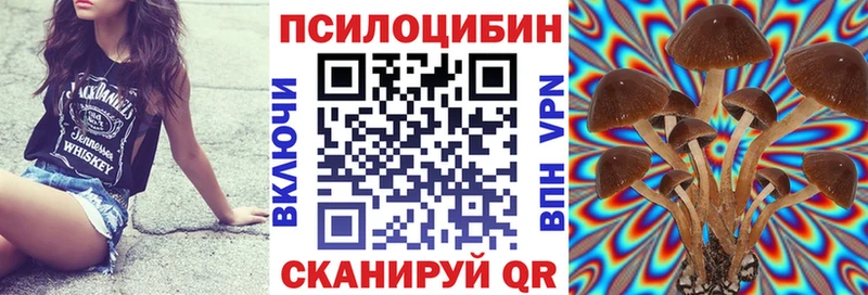 Псилоцибиновые грибы GOLDEN TEACHER  наркошоп  Южно-Сахалинск 