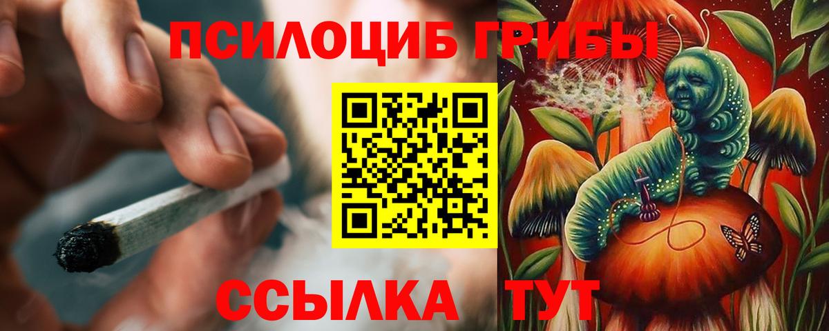 Галлюциногенные грибы GOLDEN TEACHER Южно-Сахалинск