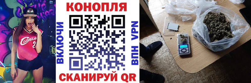 Бошки марихуана конопля Южно-Сахалинск